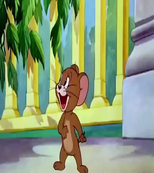 tom and jerry  12