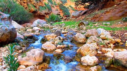 جمال الطبيعه في ليبيا . الجبل الاخضر , عين استوة