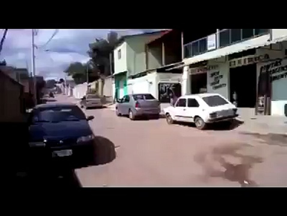 horse car