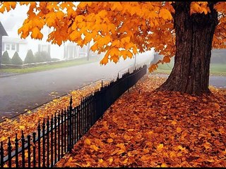 Quien tuviera la dicha - Cancion para mamá - Día de la madre