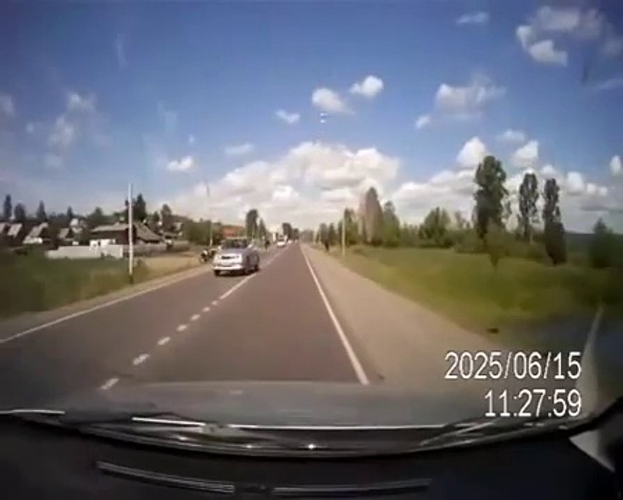 Car crashes into humping cows Корова и бык на дороге [Full Episode]