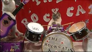 The RockCats - April 2009 TV