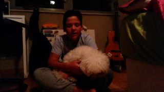 Watch me with my dog  OriGamerHD