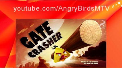 Angry Birds SE01EP23 Gate Crasher Cartoon Series Full Episodes