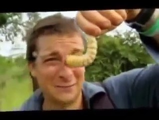 Man vs Wild Eating Giant Larva