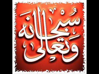 1 st speech of Hafiz Muhammad Saleem Raza Sultani