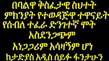 Tragic Loss: Ethiopian Artist Seble Tefera Dies in Car Accident 🚗
