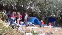 Röszke (Ungarn) 06.09.2015 - Lager für Flüchtlinge, Zaun und Grenze / Hungary Border