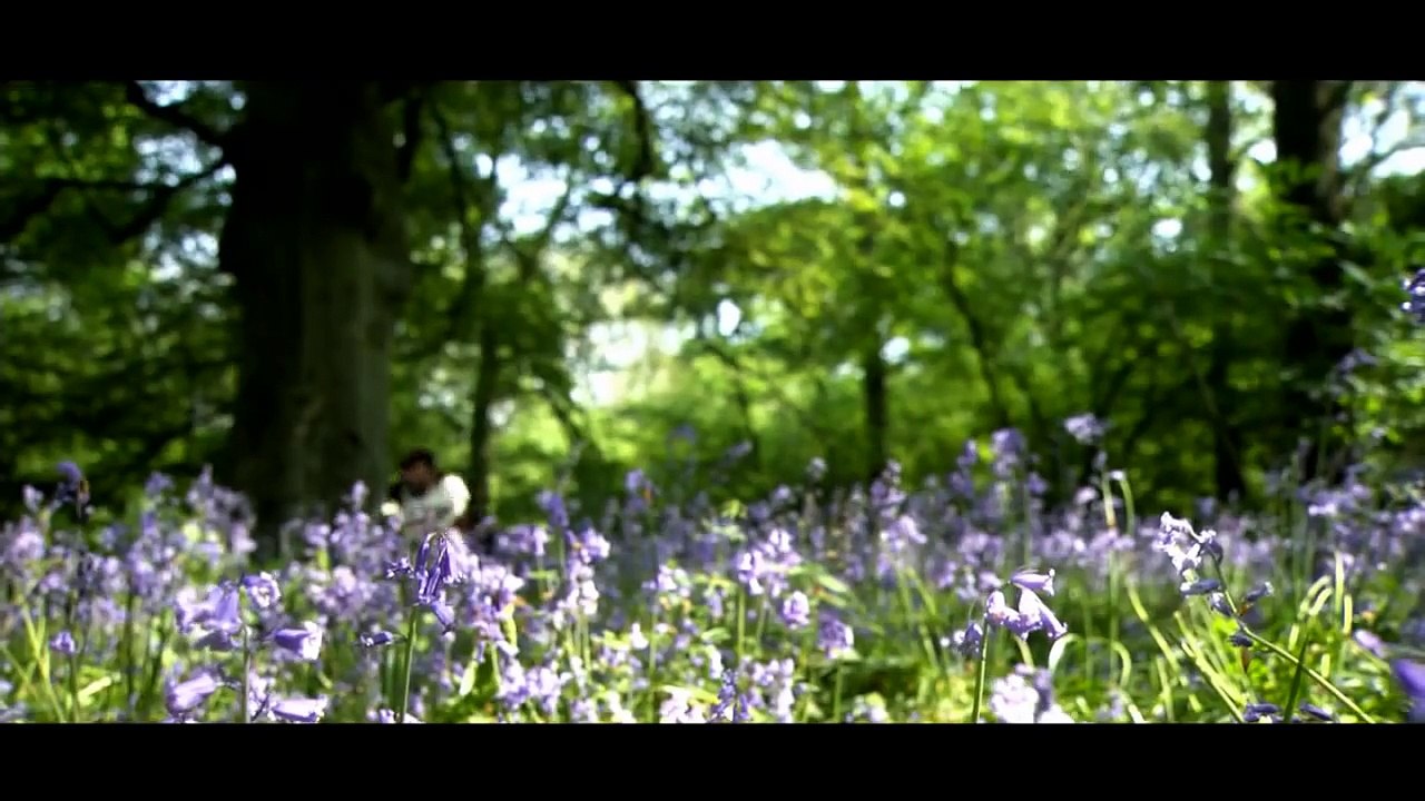 Bottom's Dream ( "A Midsummer Night's Dream")