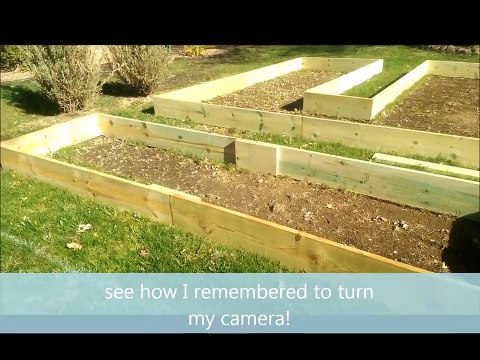 Raised Vegetable Garden Construction and Planting
