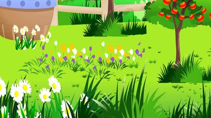 Y'a une pie dans l'poirier