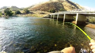 Summer time Rainbow Trout Fishing the Kings River!