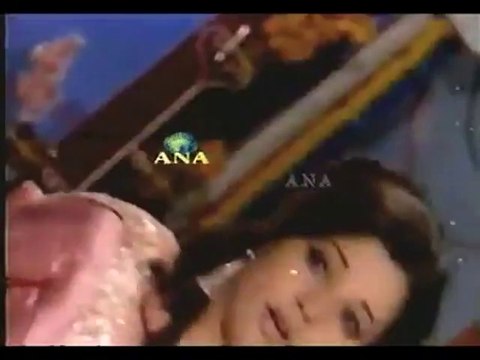 HUM NE JO DEKHE- RANGEELA -PAK-URDU -HD PAK PUNJABI SONG ーHD ハラルスパイス岩倉市ジャパンSPICE FOOD JP