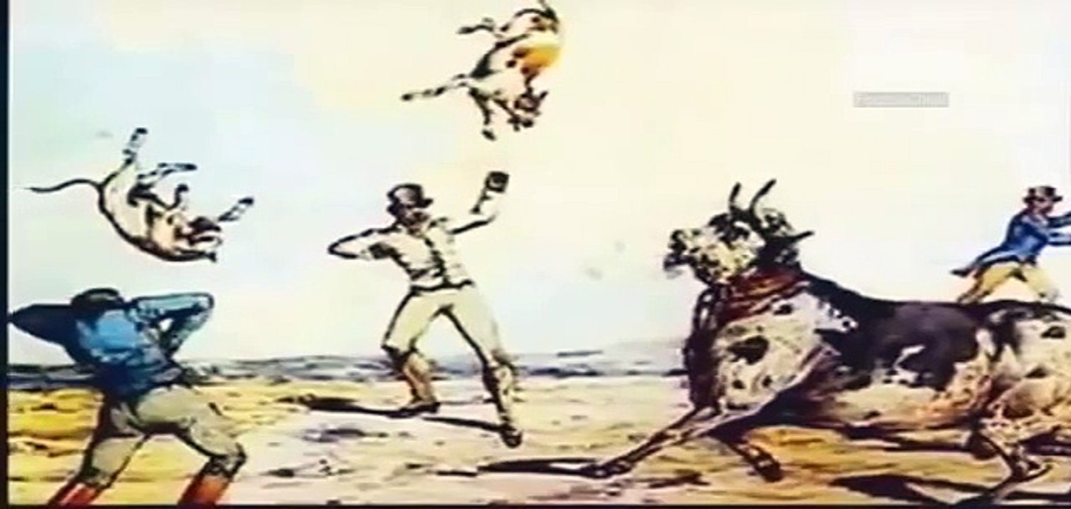 Pit Bull - Brigas de Cães - Documentário Animal Planet (dublado)