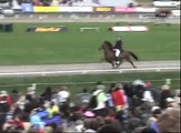 Icelandic Horses Competing at Fast Tolt