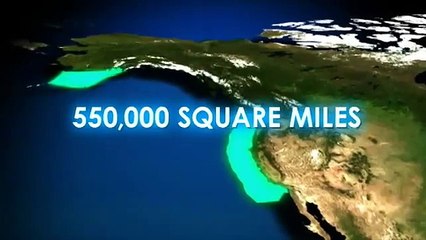 Oceana: Our Ocean Conservation Policy Victories