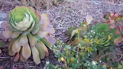 My Very First Vlog Come Go With Me!