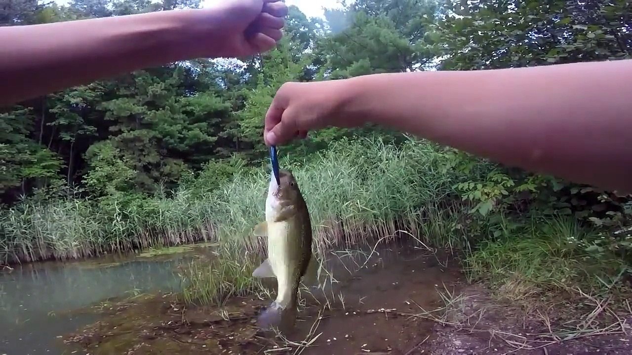 Fishing at Willard again...