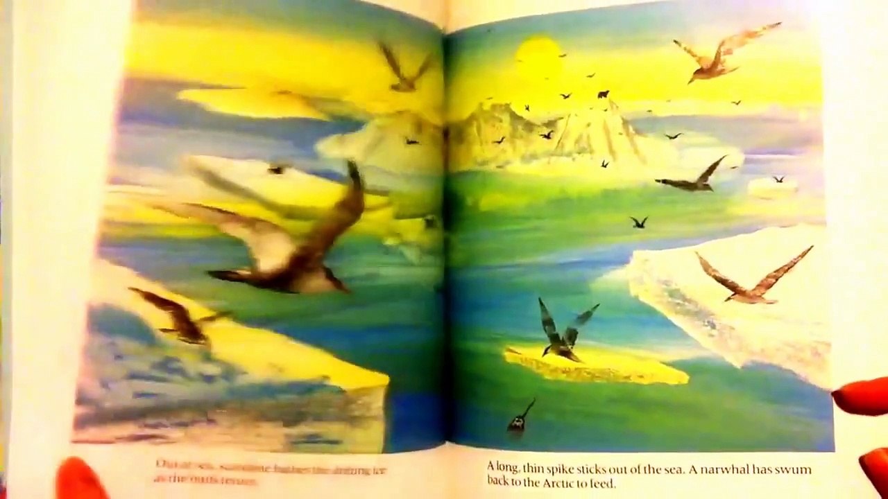 Children's Book Read Aloud: Arctic Spring by Sue Vyner with illustrations by Tim Vyner