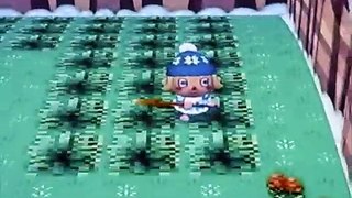 Animal Crossing Wii Themed Town Pokemon