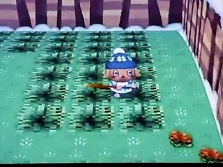 Animal Crossing Wii Themed Town Pokemon