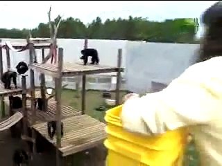 Untamed & Uncut : Chimp Rescue