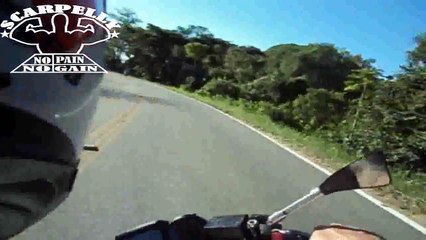 SCARPELLY    PIÃO DE XJ6