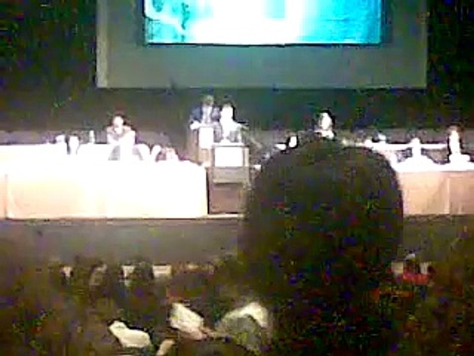 Palestine in THIMUN