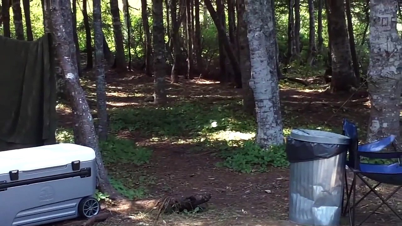 Car Camping Trip Musgrave Hr / Keels Cove / Newfoundland 2012