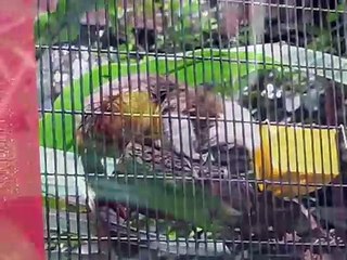 Disney World, Orlando