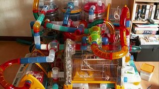 Crazy Hamster Cages, Part 3!