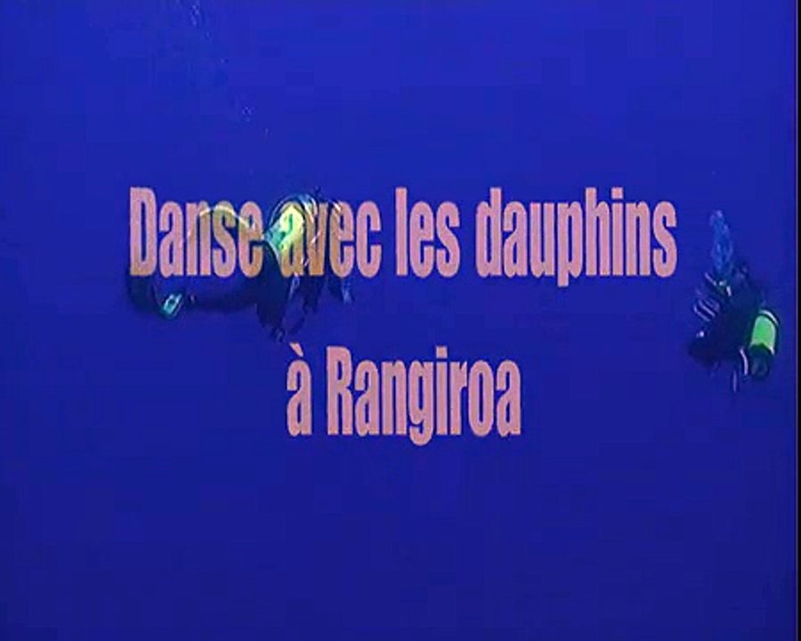 Danse avec les dauphins à Rangiroa