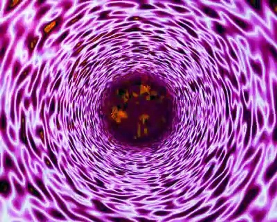 MARIO MONTI DA BARAK OBAMA - AMBASCIATOR NON PORTA PENA O PENE.wmv