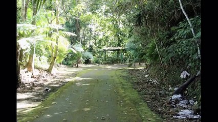 Paseo por el pueblo de Adjuntas