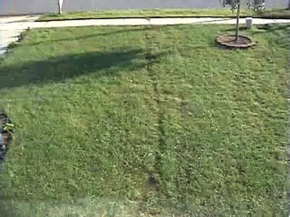 time lapse lawn