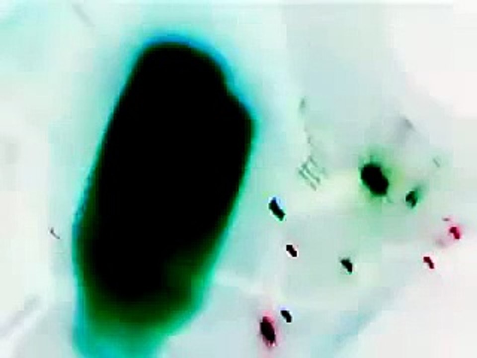 Emulsion - She Orbits