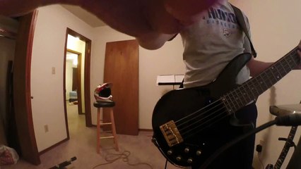 Screwing Around With A Bass:: Summer Romance (Anti-Gravity Love Song) - Incubus