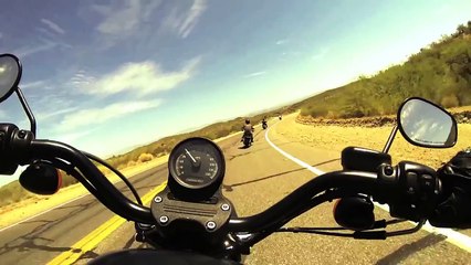 2013 Harley Davidson | Forty Eight (48) Coloma Gold | Nightster | Iron 883 |Street Bob Black Denim