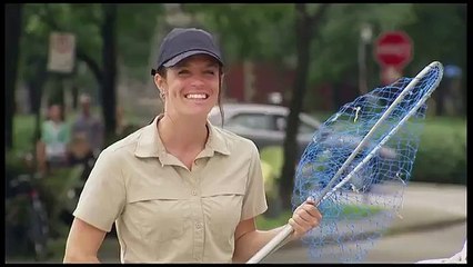 Capturing a Homeless Woman Prank funny videos