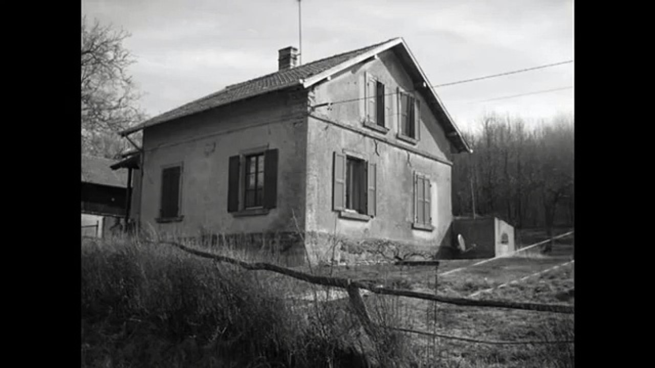 Ferrat - Ma môme  - par Daniel Aubert