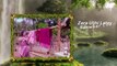 Sajna Hai Mujhe Sajna Ke Liye With Lyrics  Saudagar  Asha Bhosle