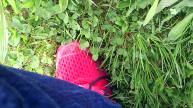 adidas climacool walk trough a flowery meadow