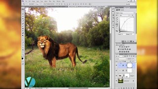 Photoshop photo manipulation tutorial │ Save The Jungle