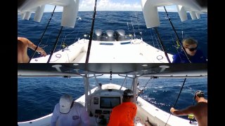 Contender V.360 Camera Fishing Video