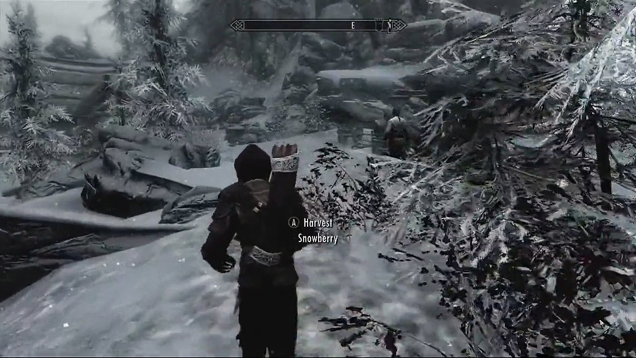 The Elder Scrolls V-Skyrim Glitches-The Dawnstar G