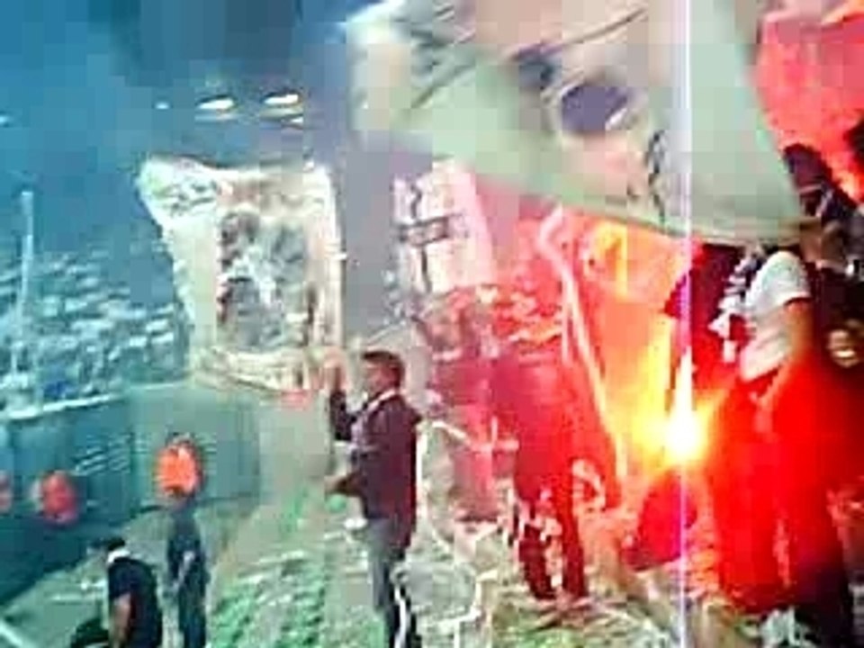 saint étienne-bordeaux