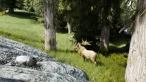 The Elder Scrolls V Skyrim - Modded - Elk & Deer
