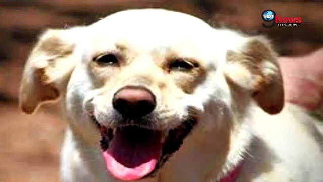 देखिये कुत्ते का आधार कार्ड | Hilarious but True: Aadhaar Card of Dog [Full Episode]