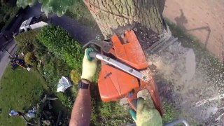 Oak and Ash Dismantle with Timber Crane