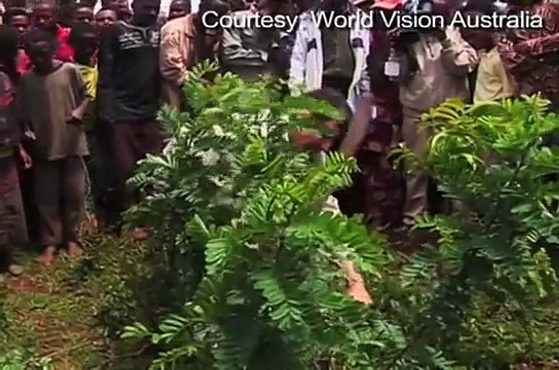 African farmers find going green is fruitful